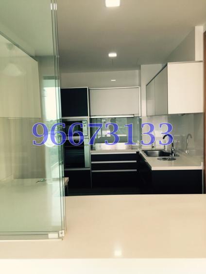 One Jervois (D10), Condominium #109603692